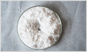 ��������ϩϞ