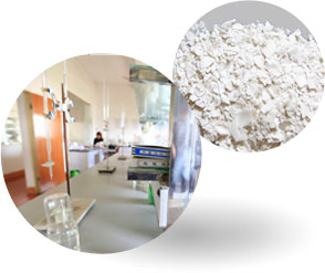 �ܲČ����U�}��(f��)�Ϸ�(w��n)����