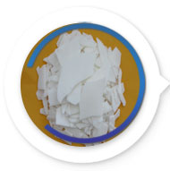 ����ϩϞ�������z����Ϟ��